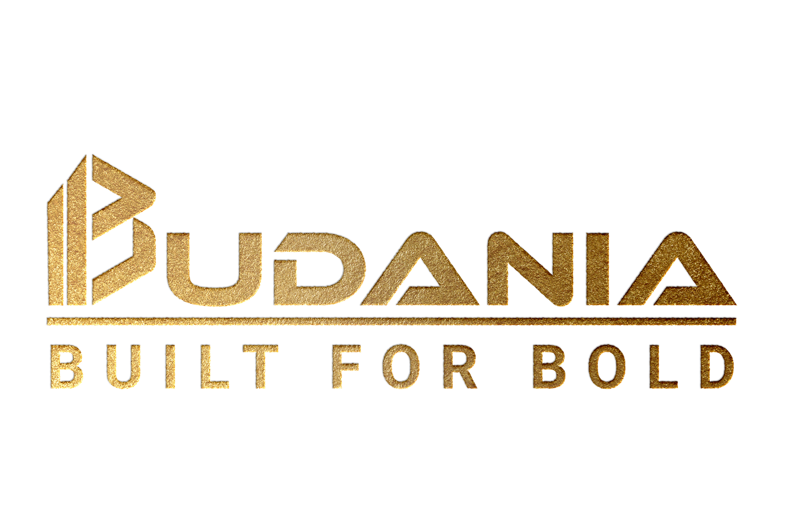 Budania Logo